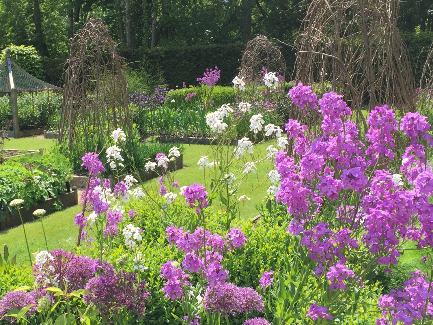 South Wood Farm, Honiton, Devon, EX14 9HU National Garden Scheme